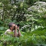 Der Plümchenfotograf