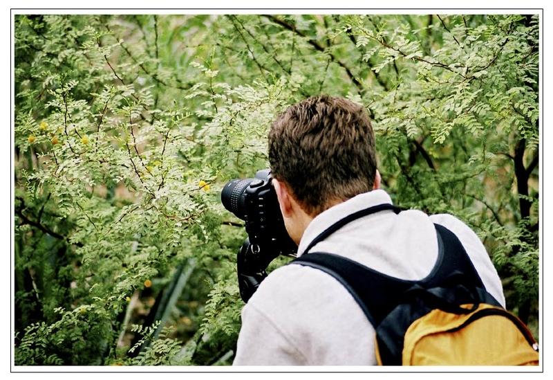 Der Plümschenfotofierer bei der Arbeit