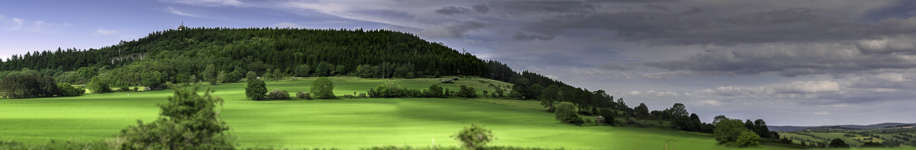 Der Pöhlberg im Juni 2013