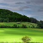 Der Pöhlberg im Juni 2013