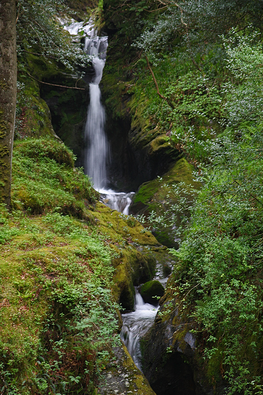 Der Pollanass-Wasserfall...II...