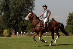 der Polospieler