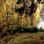 Der Poppelsee im Herbst...