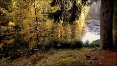 Der Poppelsee im Herbst...