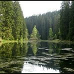 Der Poppelsee im Nordschwarzwald...