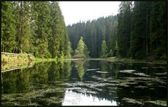 Der Poppelsee im Nordschwarzwald...