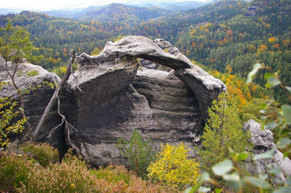 der Portalturm