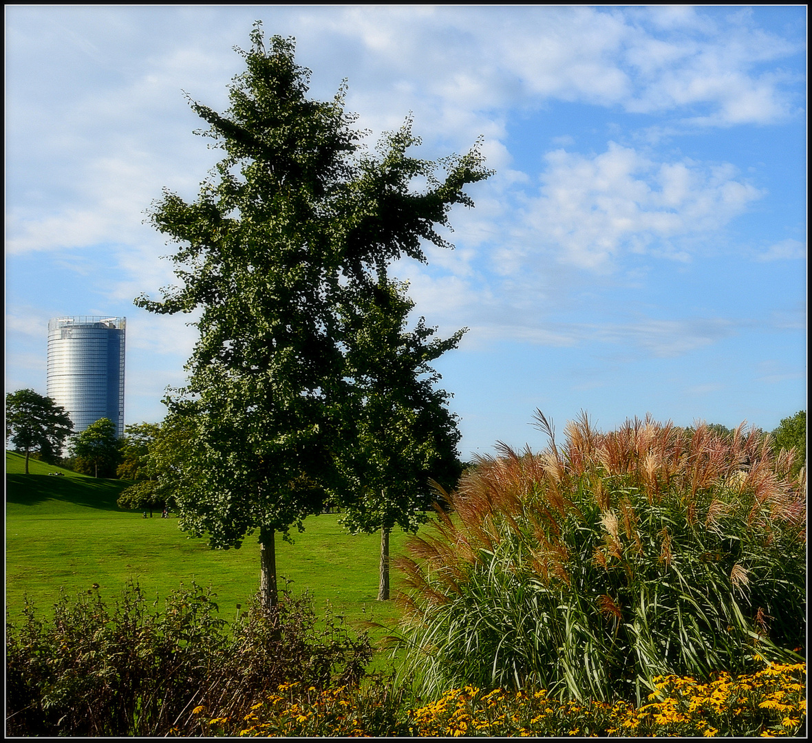 Der Post Tower prägt die Landschaft der Rheinauen in Bonn....