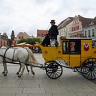 Der Postkutscher auf dem Altmarkt