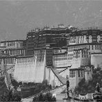 Der Potala ruft