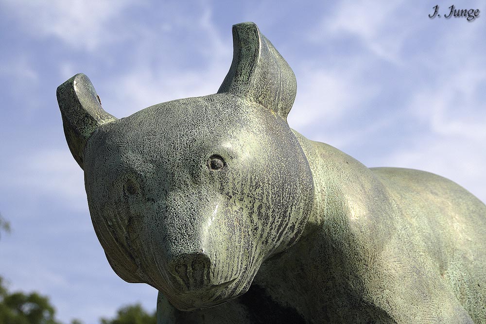 Der Problembär Bayerns? Nein! Der Bronzebär Berlins!