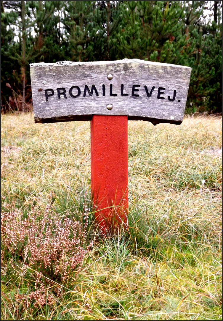 Der Promilleweg