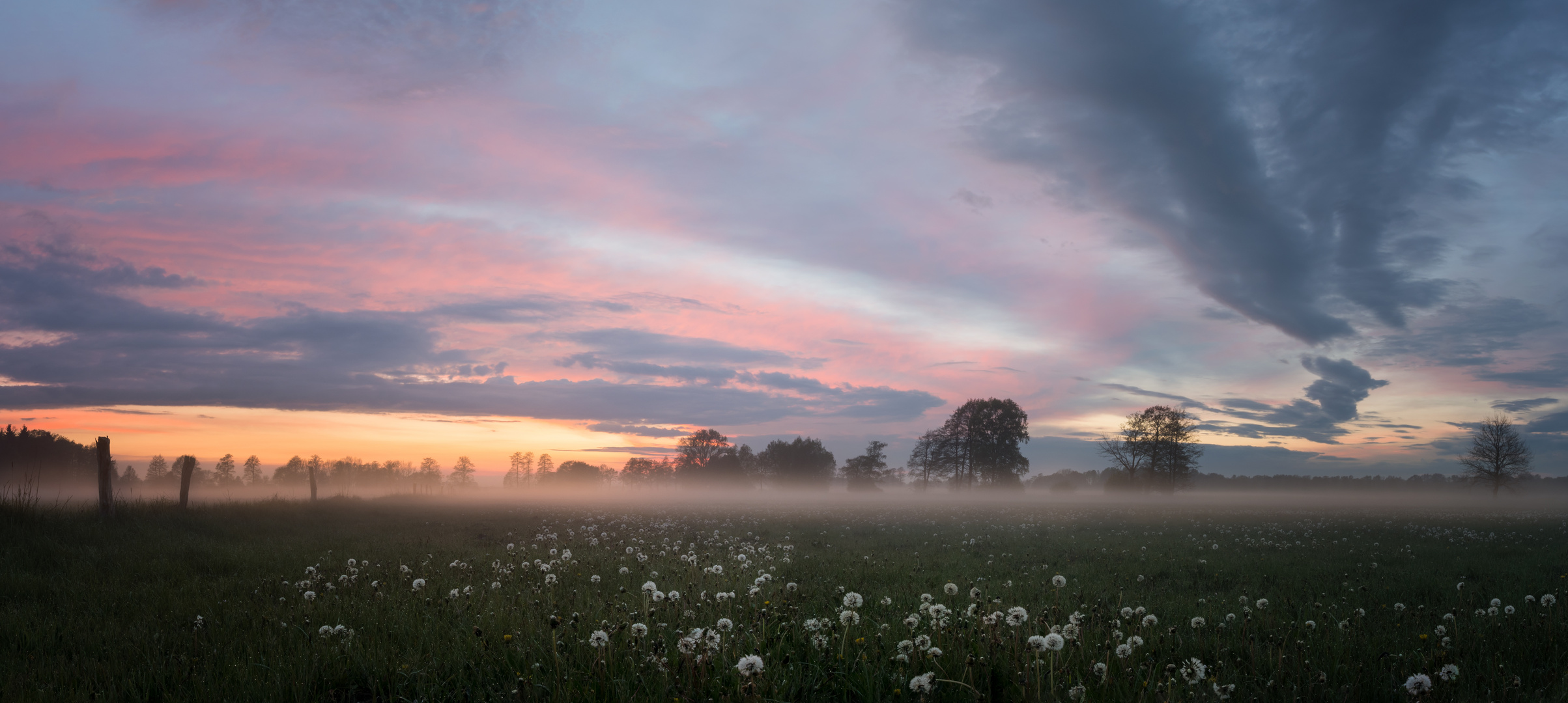 Der Pusteblumen Nebel 