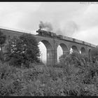 Der Putzkauer Viadukt