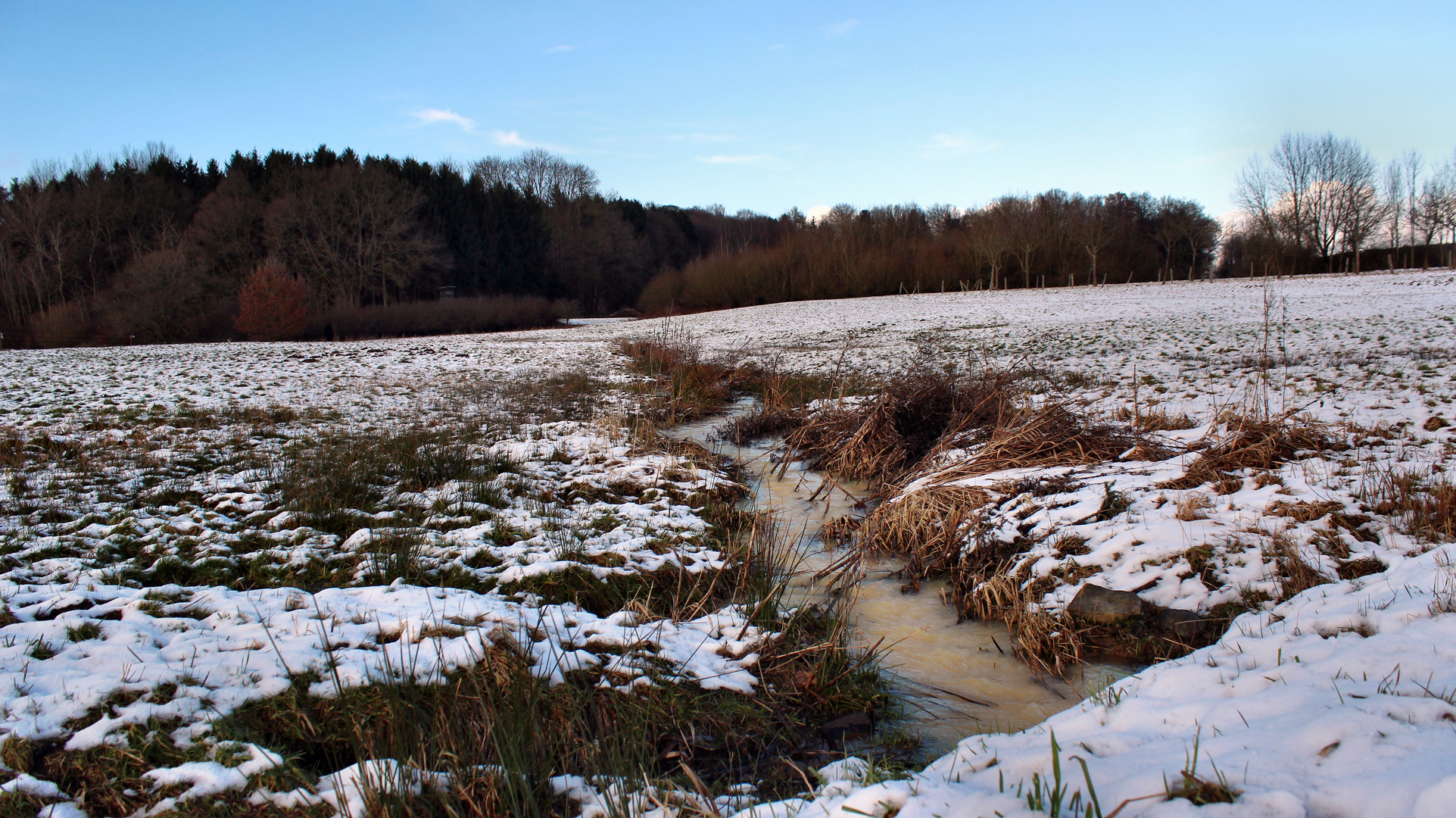 Der Qualbach auf dem Weg in den Eisenbach