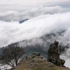 der Rabe auf dem Felsen