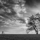 Der Radfahrer