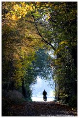 der Radfahrer-