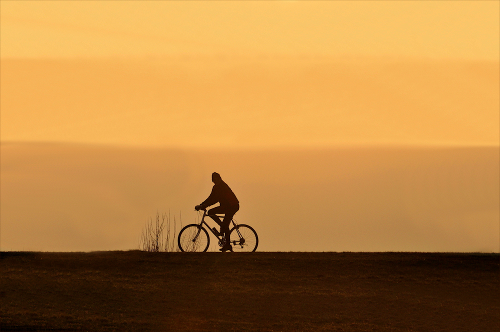 der RADFAHRER