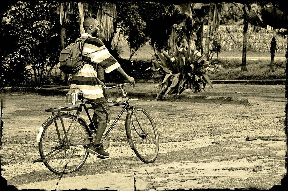 Der Radfahrer