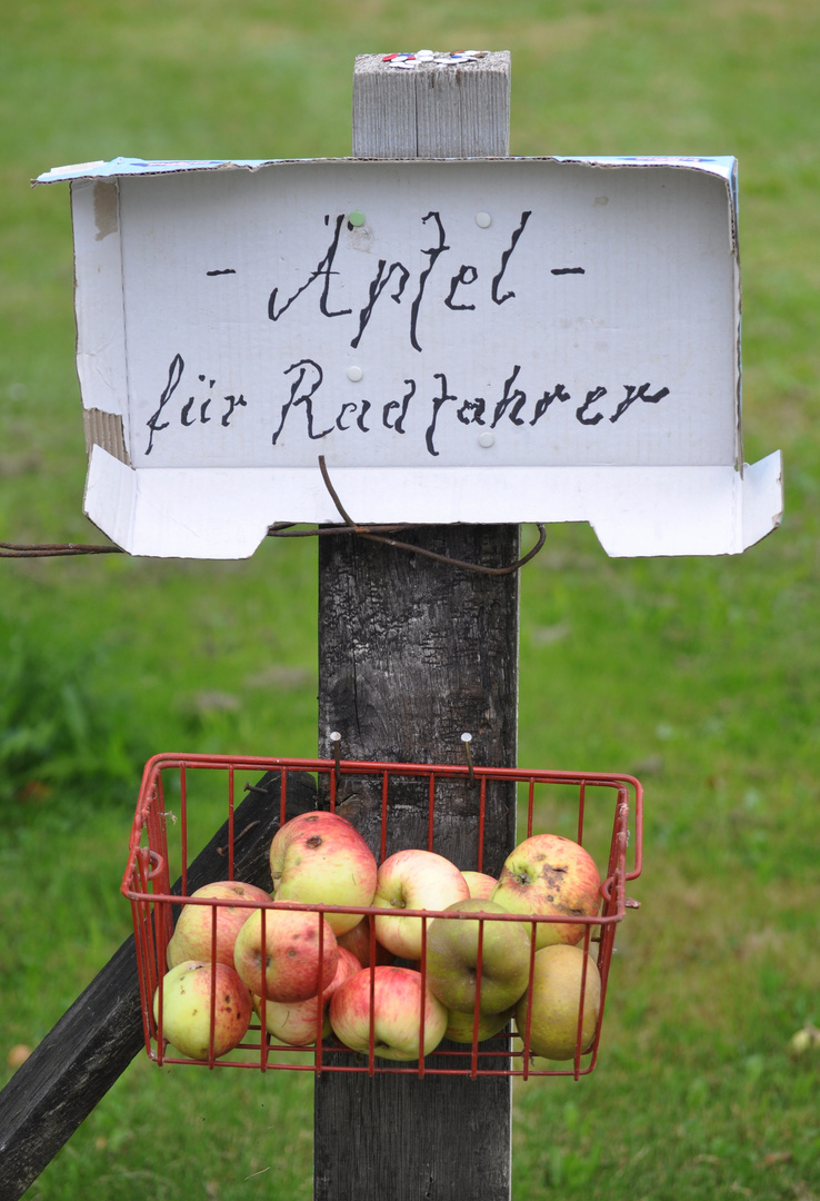 Der Radfahrer...