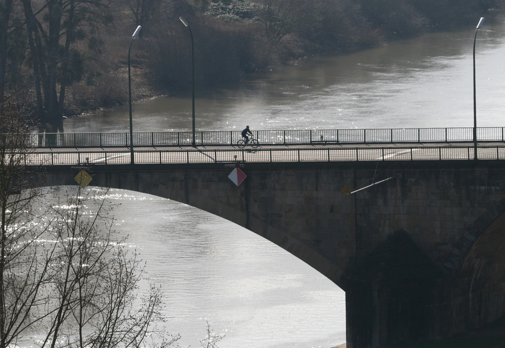 Der Radfahrer