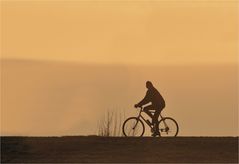 der Radfahrer.....