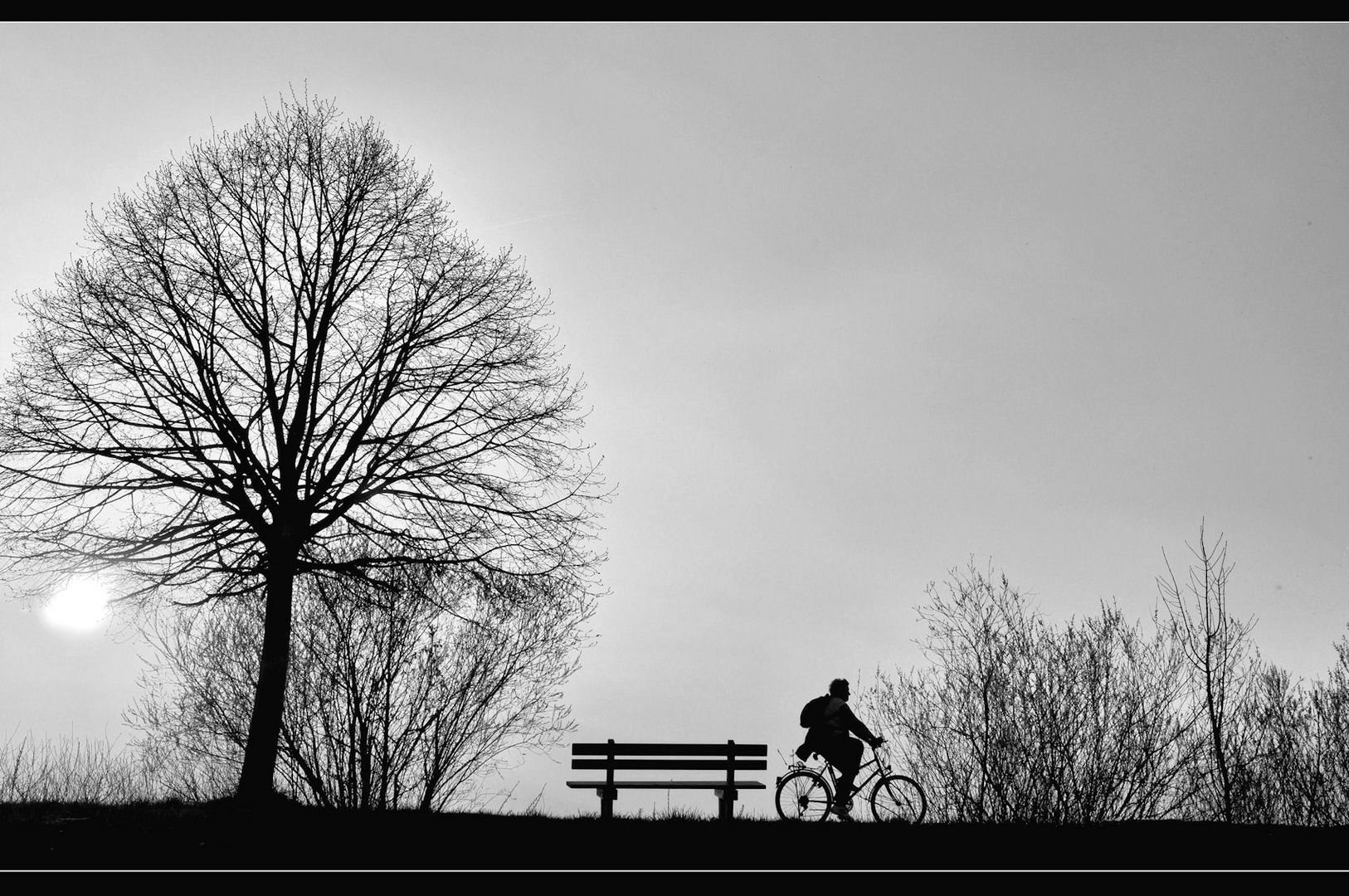 der Radfahrer...