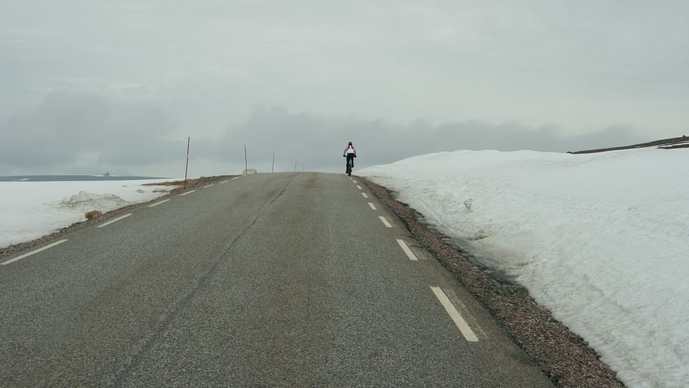 Der Radfahrer