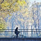 der Radfahrer