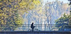 der Radfahrer