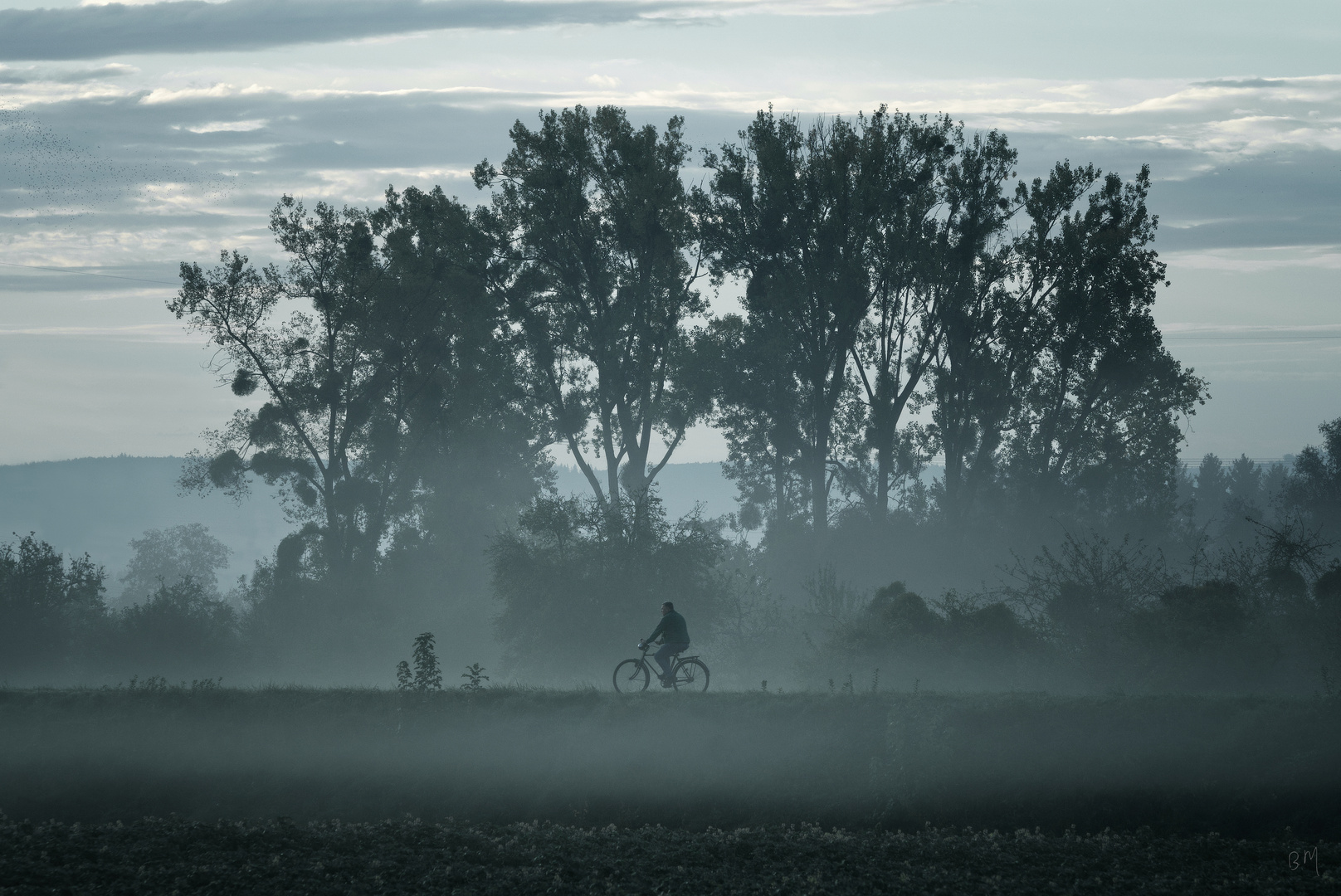 Der Radfahrer