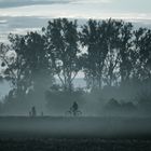 Der Radfahrer