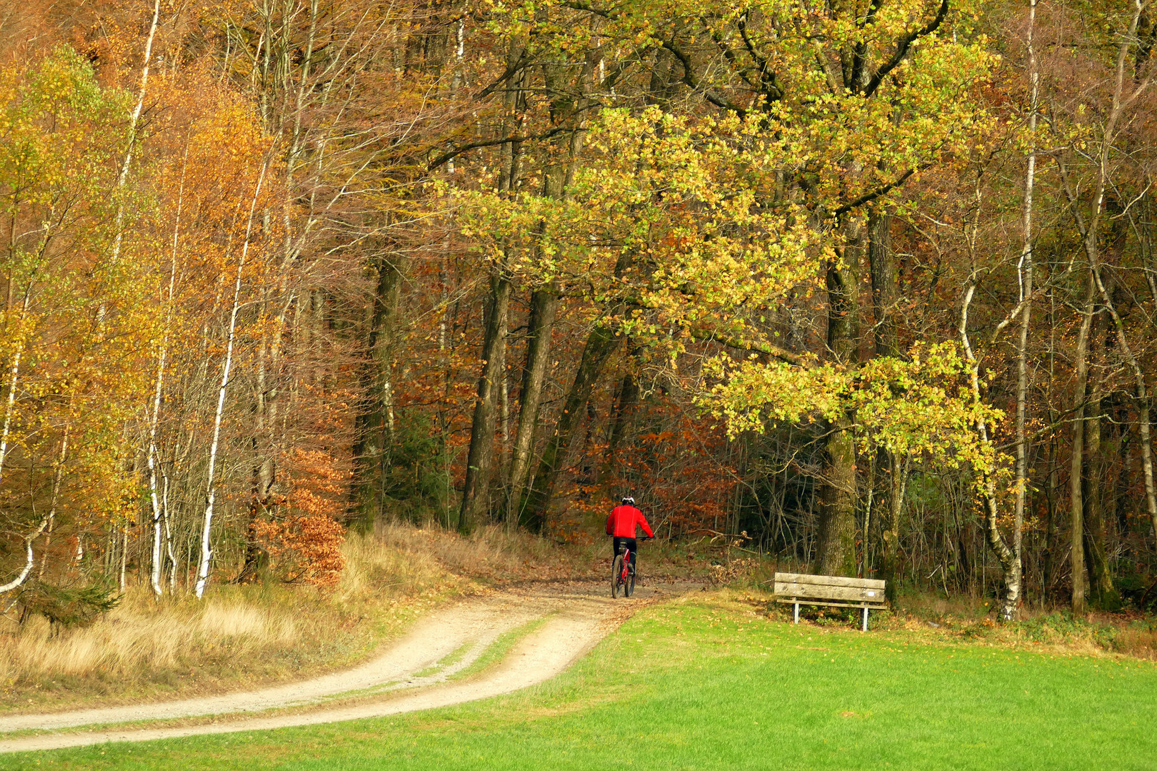 °°°° Der Radfahrer mit der roten Jacke °°°°