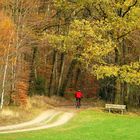 °°°° Der Radfahrer mit der roten Jacke °°°°