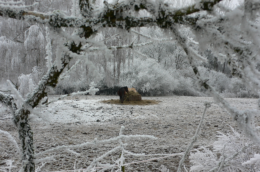 ...der Radius....und die Aussicht....