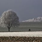 der Radler an Neujahr