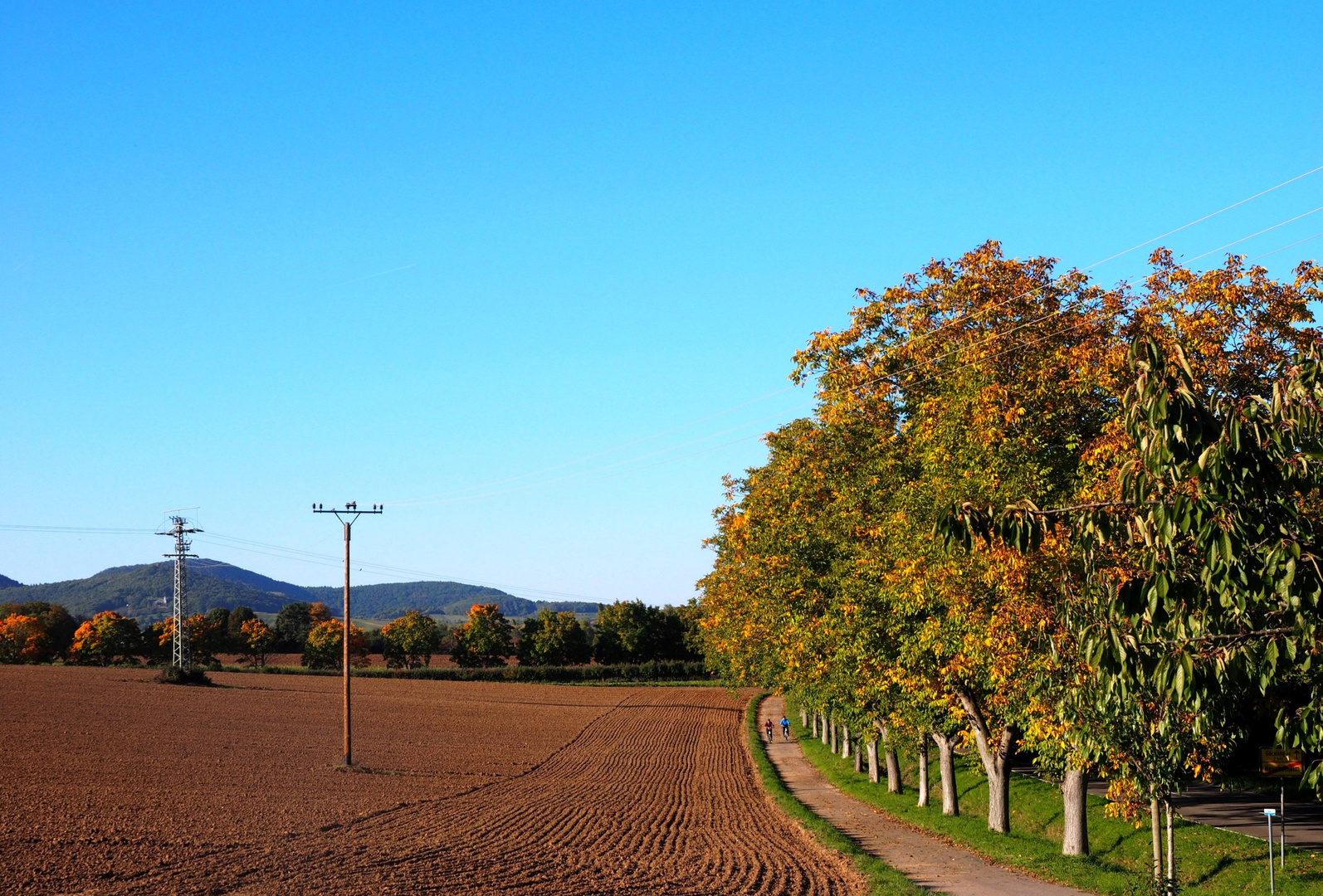 Der Radweg