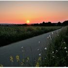 Der Radweg Im Licht der aufgehenden Sonne