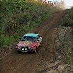 Der Rallye-Abhang