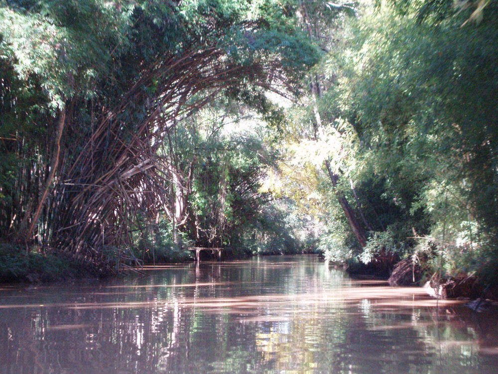 Der Rama Negra chico Fluss, einmalig schoen...