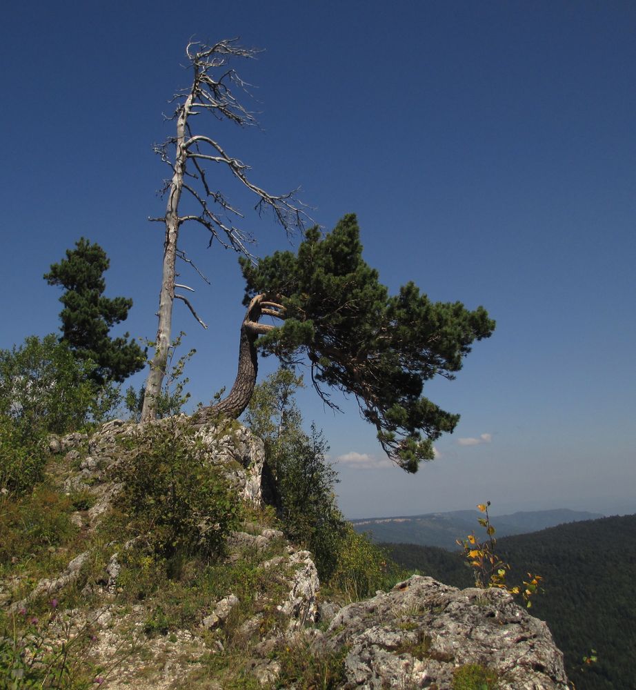 der Rand des Lago-Naki-Hochplateaus