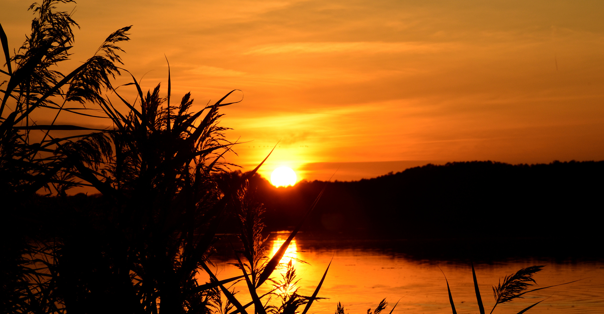 Der Rangsdorfer See..... 