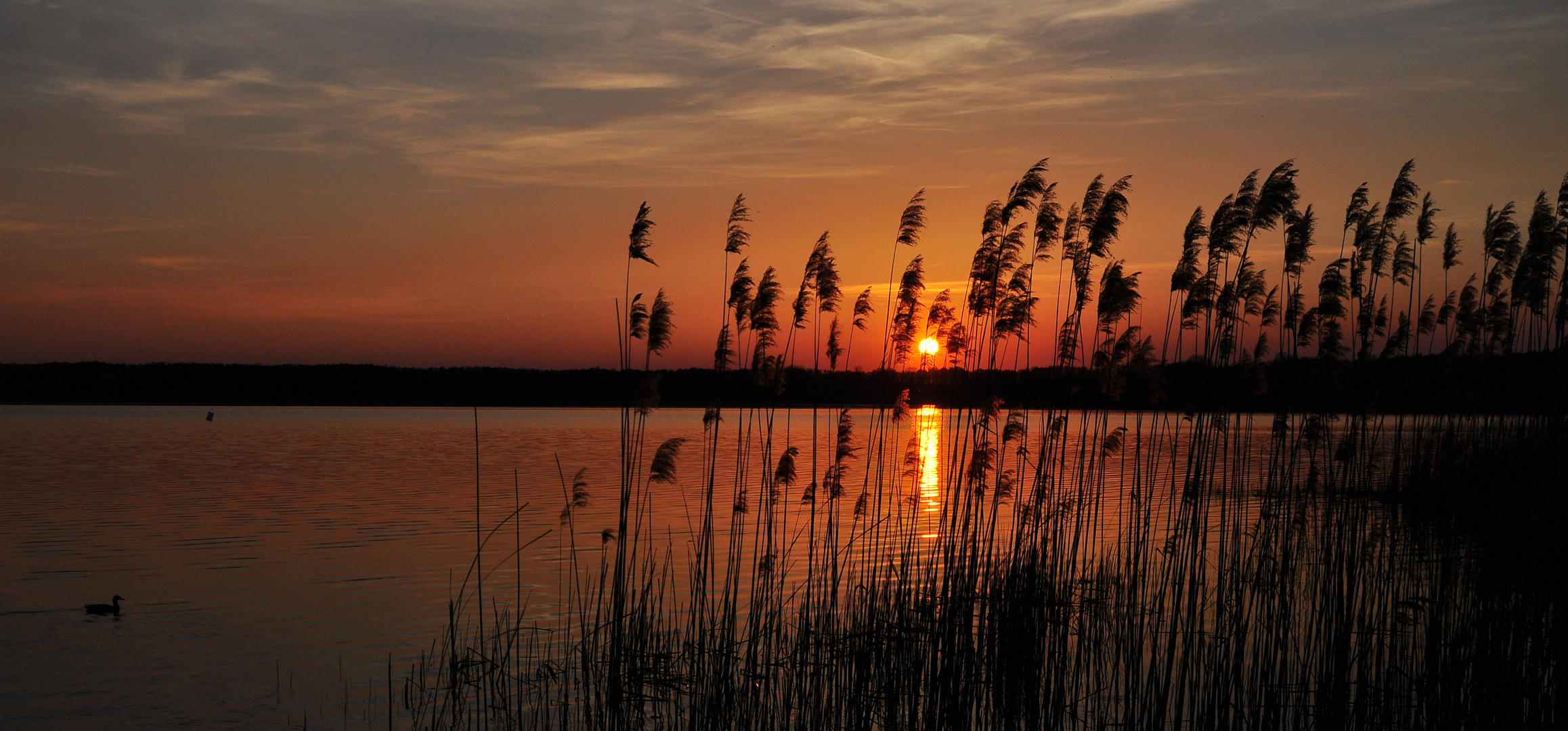 Der Rangsdorfer See....