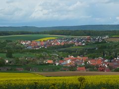 Der Raps blüht auf Frankens "Ölfeldern" (3)