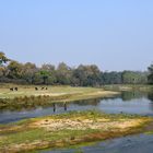 Der Rapti Fluss im Chitwan Nationalpark in Nepals Süden
