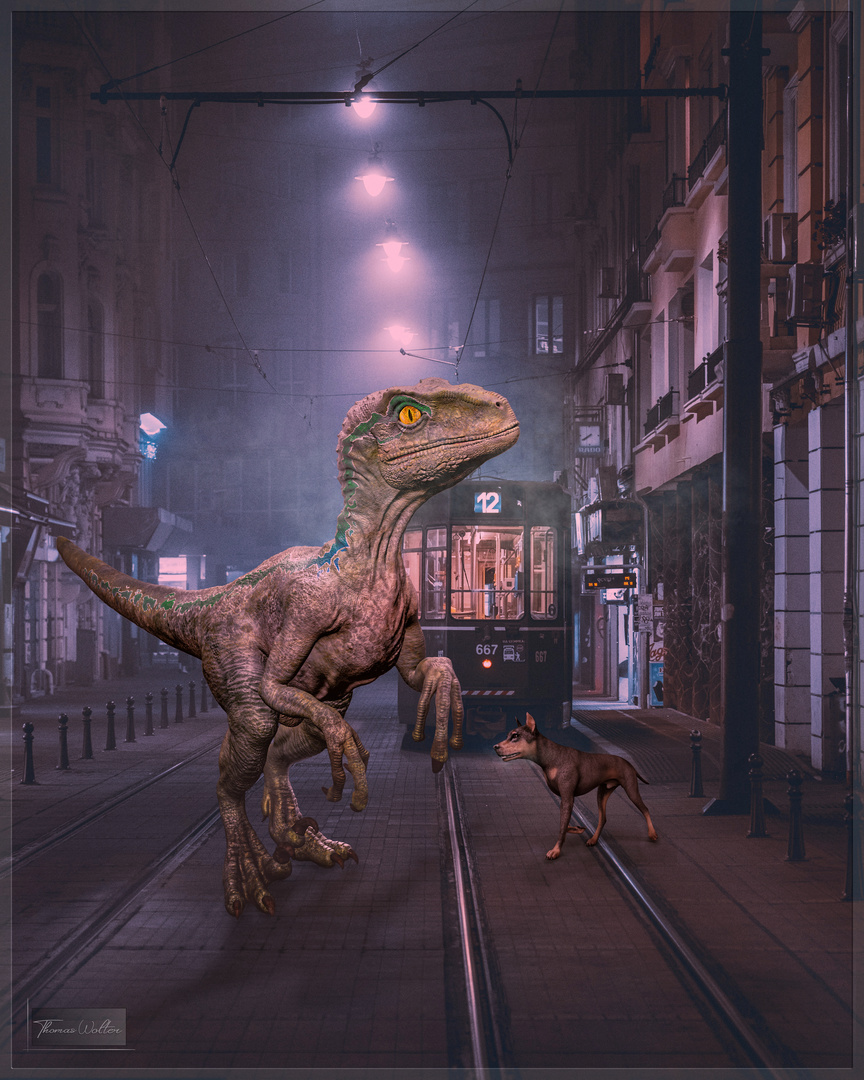 Der Raptor ist in der Stadt