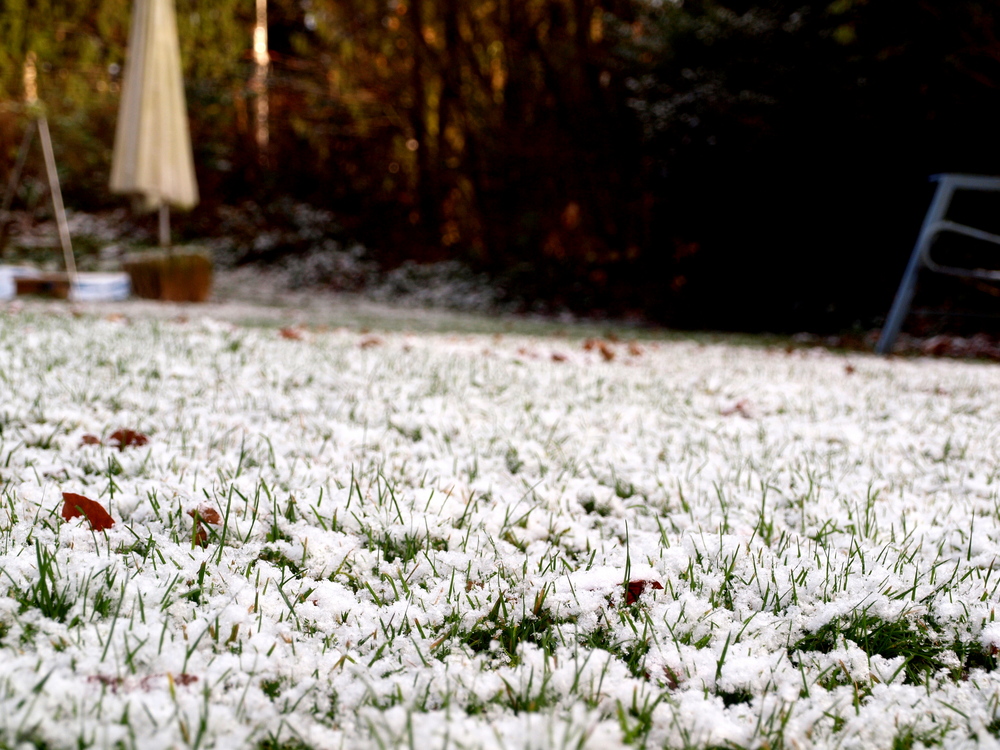 Der Rasen im Schnee