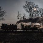 Der Rasende Roland am Posewald bei Gegenlicht