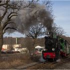 Der „Rasende Roland“ auf 750 mm mit Volldampf durch Rügen #2.